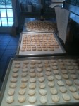 Sweet Potato Biscuits in the Making!
