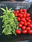 Grilled Asparagus & Grape Tomatoes