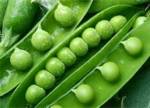 spring peas